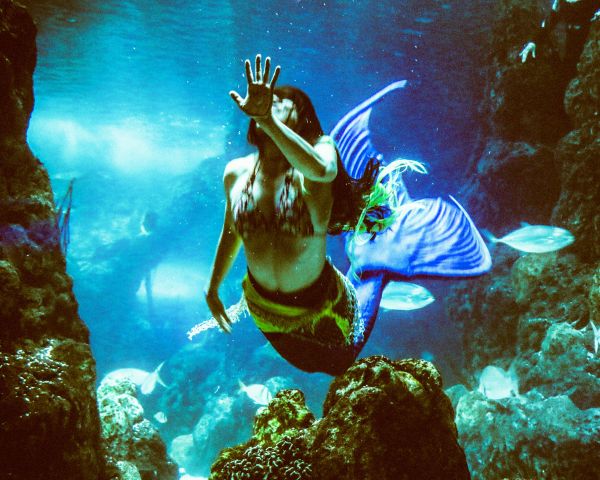Top reasons to try swimming with a mermaid tail today